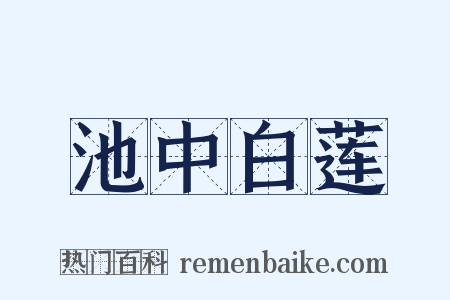 池中白莲是什么意思的图片